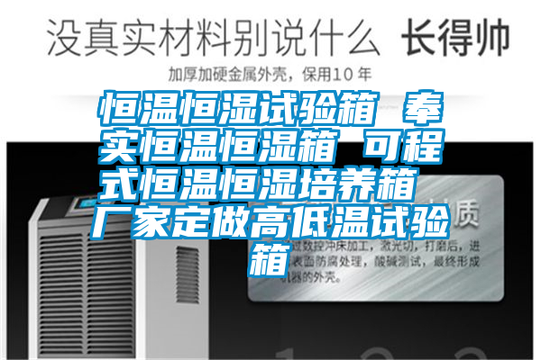 恒溫恒濕試驗箱 奉實(shí)恒溫恒濕箱 可程式恒溫恒濕培養箱 廠(chǎng)家定做高低溫試驗箱