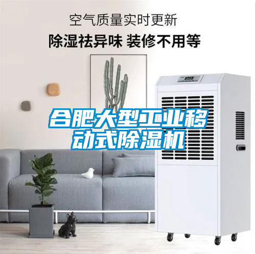 合肥大型工業(yè)移動(dòng)式除濕機