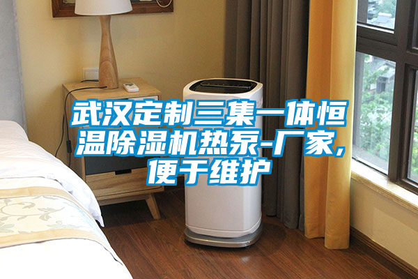 武漢定制三集一體恒溫除濕機熱泵-廠(chǎng)家,便于維護