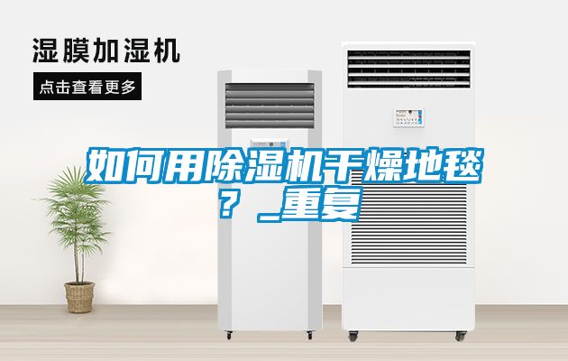 如何用除濕機干燥地毯？_重復