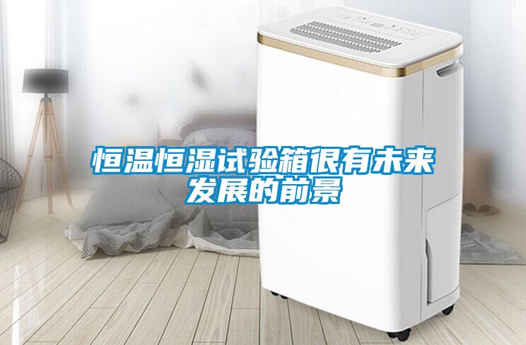 恒溫恒濕試驗箱很有未來(lái)發(fā)展的前景
