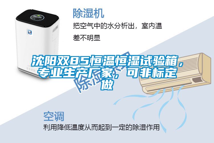 沈陽(yáng)雙85恒溫恒濕試驗箱，專(zhuān)業(yè)生產(chǎn)廠(chǎng)家，可非標定做