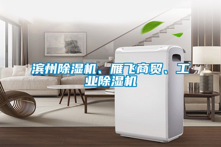 濱州除濕機、雁飛商貿、工業(yè)除濕機