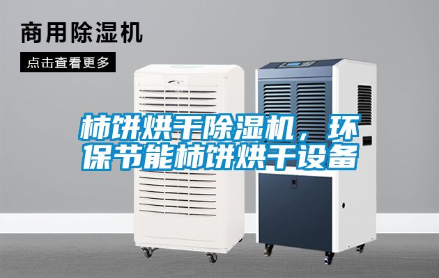 柿餅烘干除濕機，環(huán)保節能柿餅烘干設備