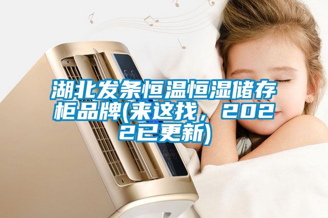 湖北發(fā)條恒溫恒濕儲存柜品牌(來(lái)這找，2022已更新)