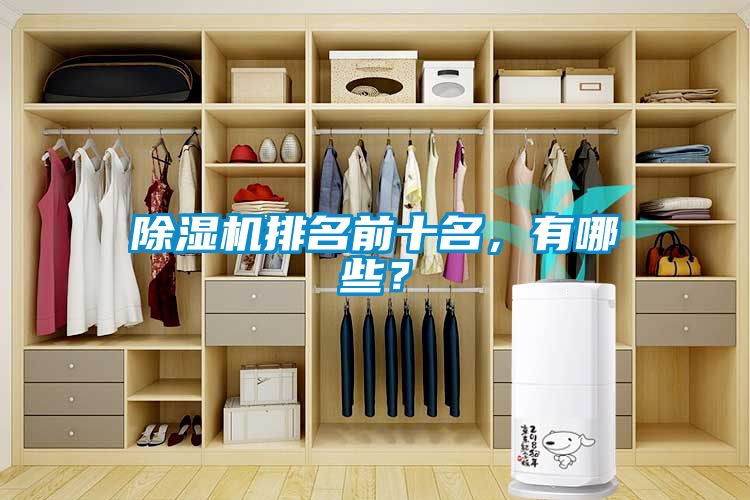 除濕機排名前十名，有哪些？