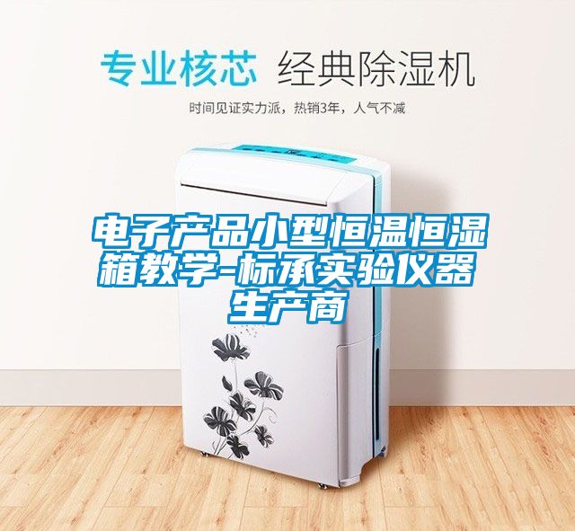 電子產(chǎn)品小型恒溫恒濕箱教學(xué)-標承實(shí)驗儀器生產(chǎn)商