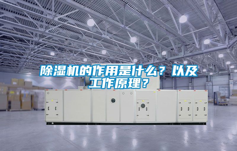 除濕機的作用是什么？以及工作原理？