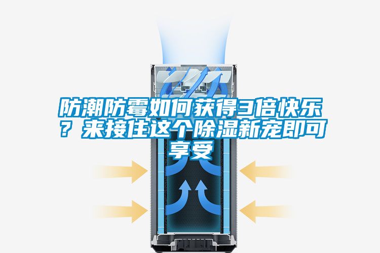 防潮防霉如何獲得3倍快樂(lè )？來(lái)接住這個(gè)除濕新寵即可享受