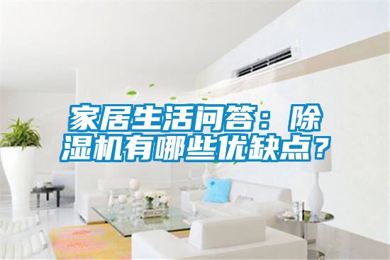 家居生活問(wèn)答：除濕機有哪些優(yōu)缺點(diǎn)？