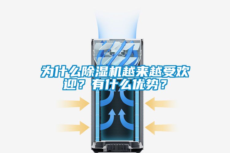 為什么除濕機越來(lái)越受歡迎？有什么優(yōu)勢？