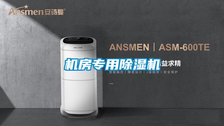 機房專(zhuān)用除濕機