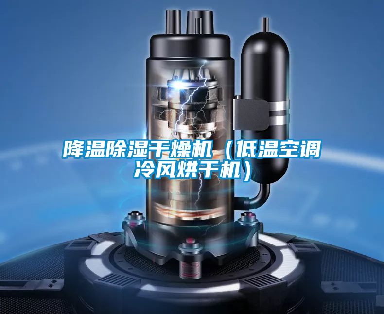 降溫除濕干燥機（低溫空調冷風(fēng)烘干機）