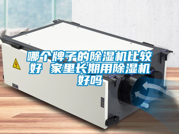 哪個(gè)牌子的除濕機比較好 家里長(cháng)期用除濕機好嗎