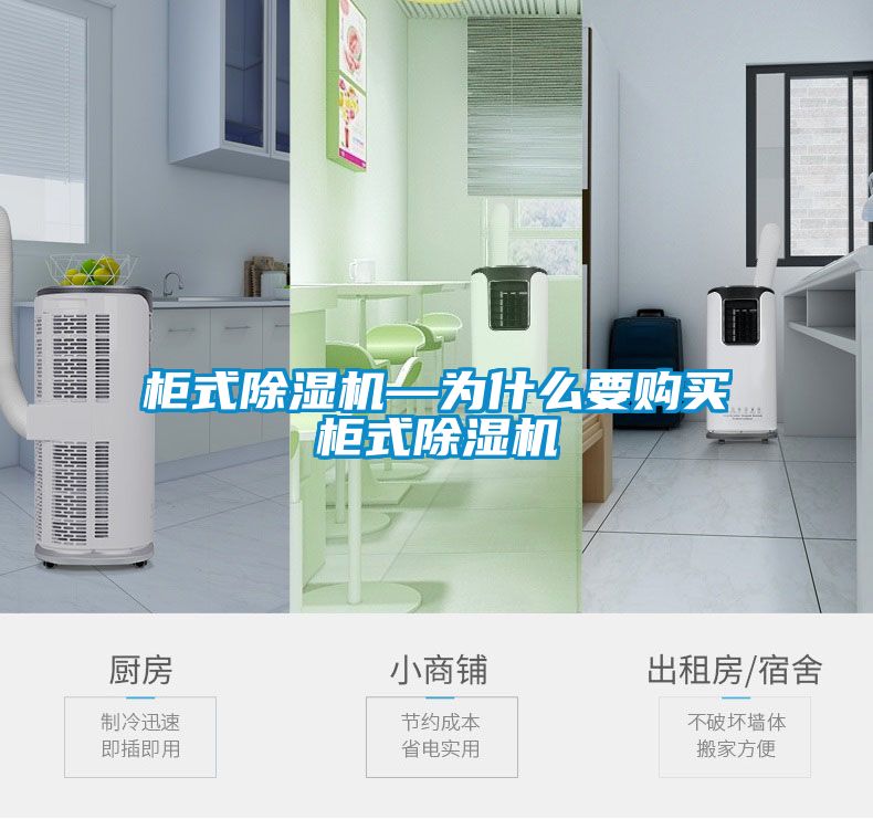 柜式除濕機—為什么要購買(mǎi)柜式除濕機