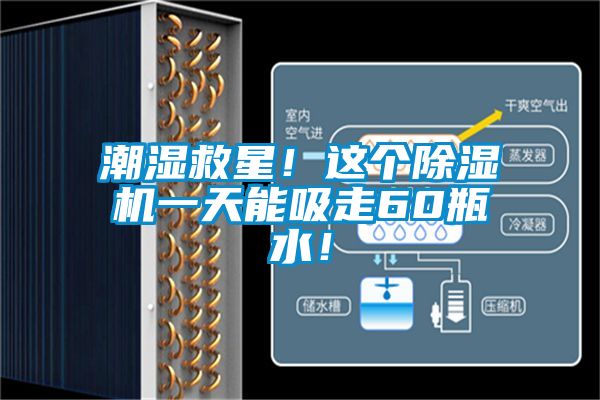 潮濕救星！這個(gè)除濕機一天能吸走60瓶水！