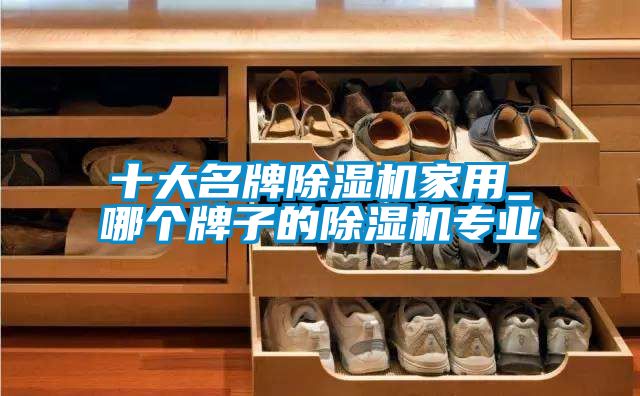 十大名牌除濕機家用_哪個(gè)牌子的除濕機專(zhuān)業(yè)