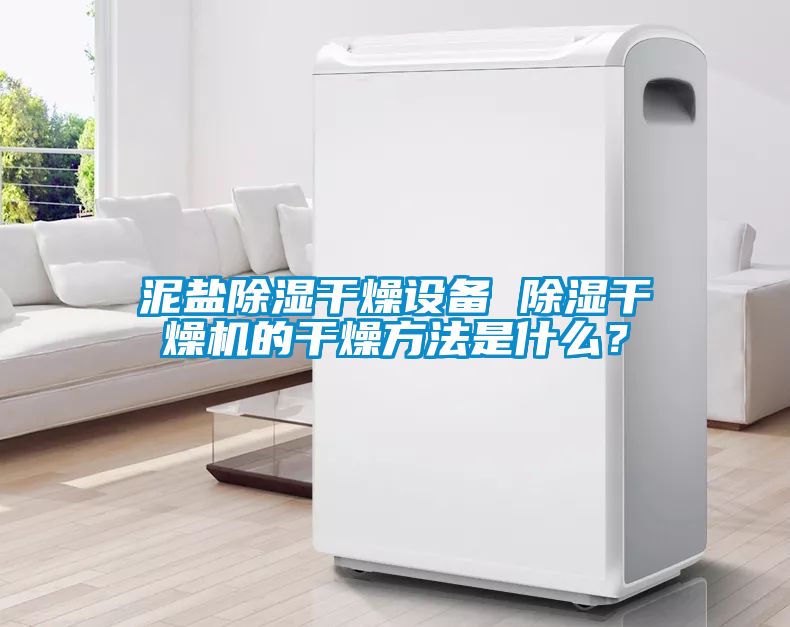 泥鹽除濕干燥設備 除濕干燥機的干燥方法是什么？