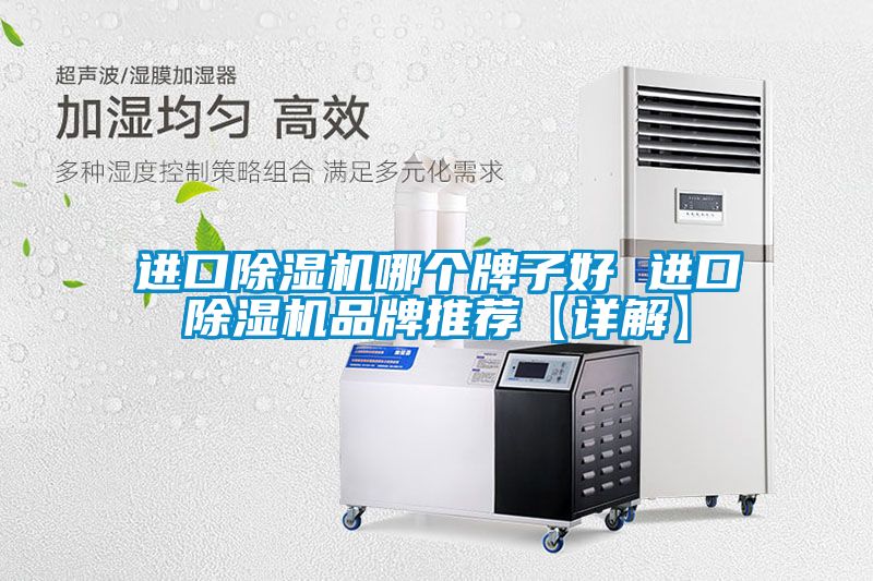 進(jìn)口除濕機哪個(gè)牌子好 進(jìn)口除濕機品牌推薦【詳解】
