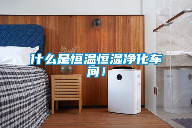 什么是恒溫恒濕凈化車(chē)間！