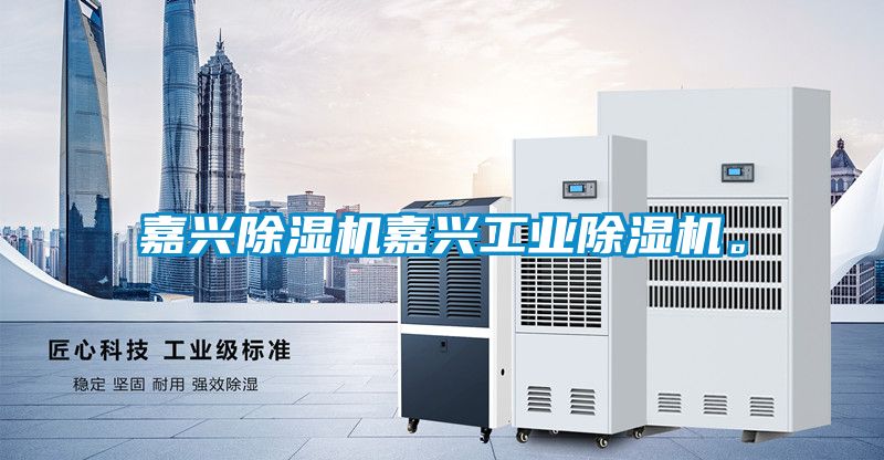 嘉興除濕機嘉興工業(yè)除濕機。