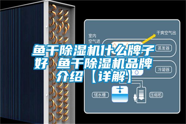 魚(yú)干除濕機什么牌子好 魚(yú)干除濕機品牌介紹【詳解】