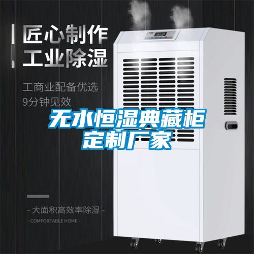 無(wú)水恒濕典藏柜定制廠(chǎng)家