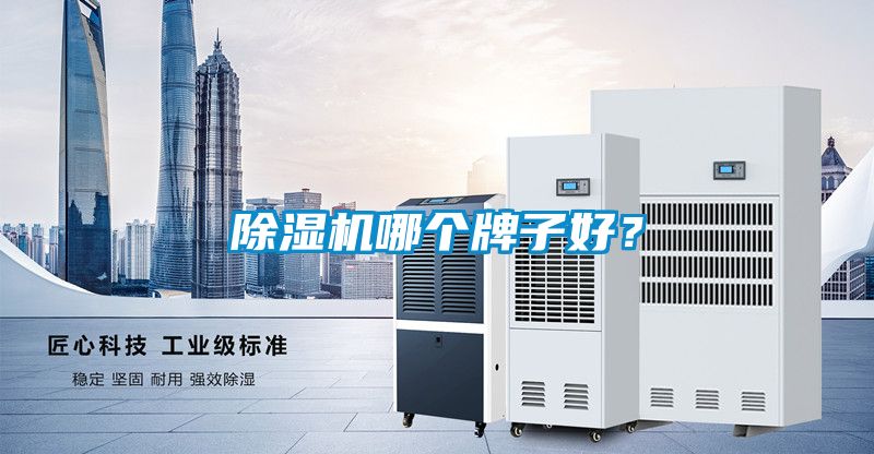 除濕機哪個(gè)牌子好？