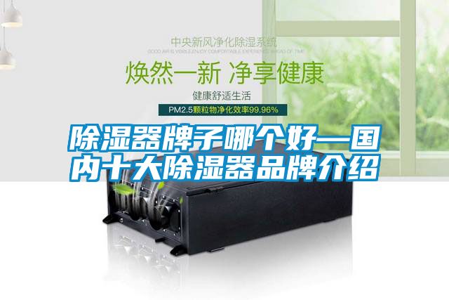 除濕器牌子哪個(gè)好—國內十大除濕器品牌介紹