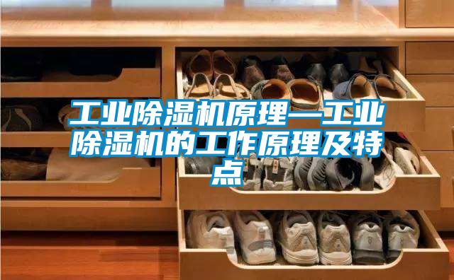 工業(yè)除濕機原理—工業(yè)除濕機的工作原理及特點(diǎn)