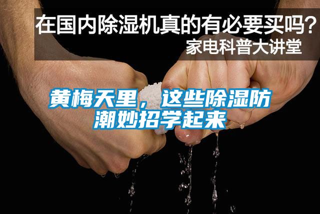 黃梅天里，這些除濕防潮妙招學(xué)起來(lái)