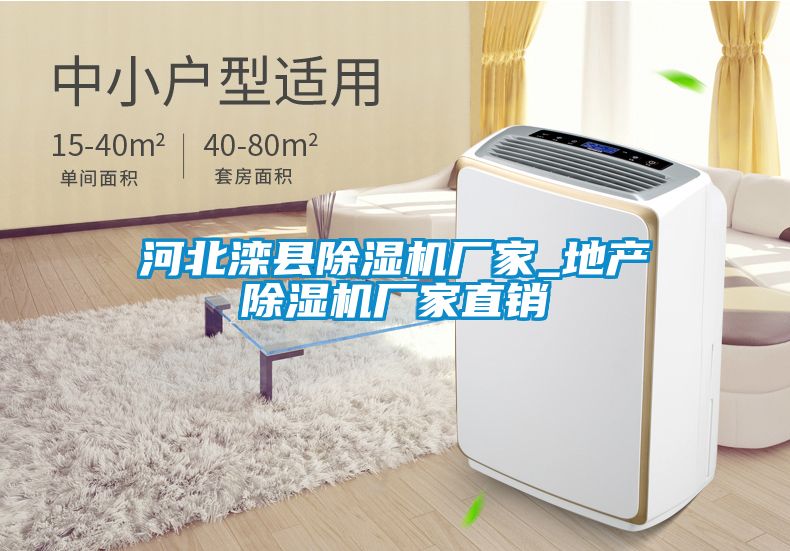 河北灤縣除濕機廠(chǎng)家_地產(chǎn)除濕機廠(chǎng)家直銷(xiāo)