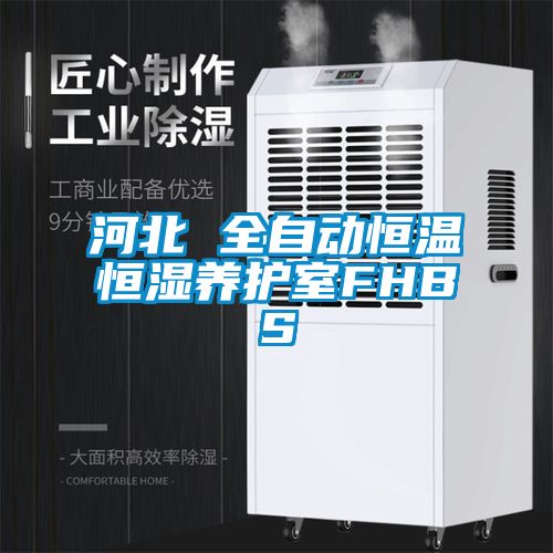 河北 全自動(dòng)恒溫恒濕養護室FHBS