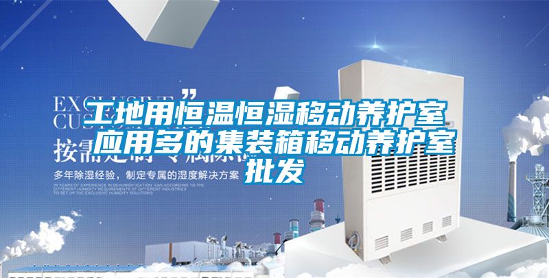工地用恒溫恒濕移動(dòng)養護室 應用多的集裝箱移動(dòng)養護室批發(fā)