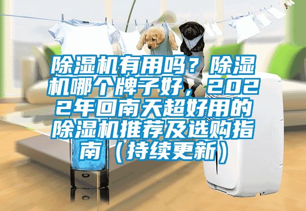 除濕機有用嗎？除濕機哪個(gè)牌子好，2022年回南天超好用的除濕機推薦及選購指南（持續更新）