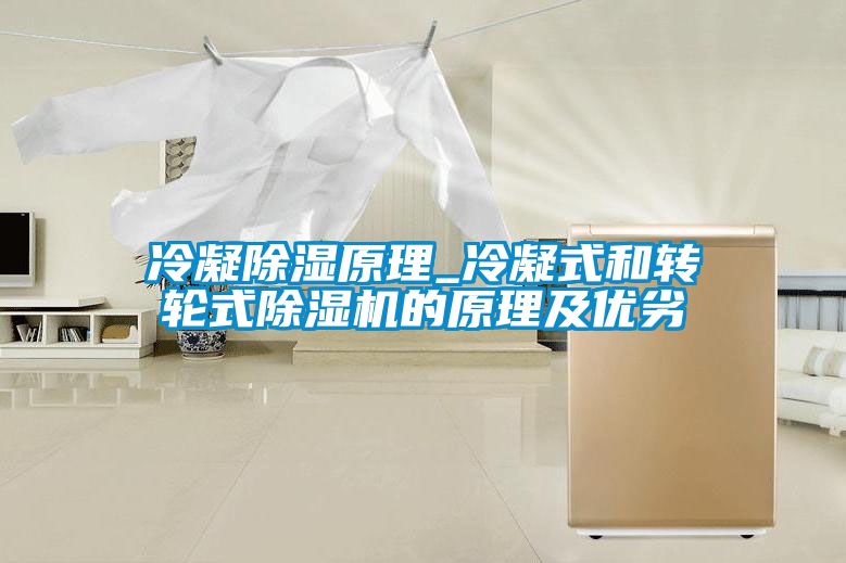 冷凝除濕原理_冷凝式和轉輪式除濕機的原理及優(yōu)劣