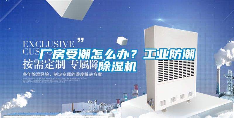 廠(chǎng)房受潮怎么辦？工業(yè)防潮除濕機
