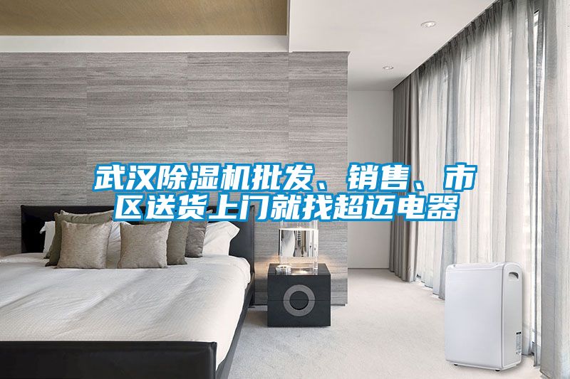 武漢除濕機批發(fā)、銷(xiāo)售、市區送貨上門(mén)就找超邁電器
