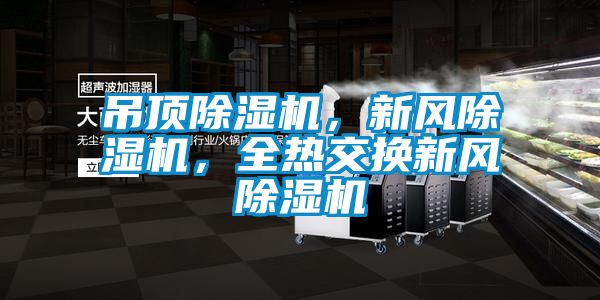 吊頂除濕機，新風(fēng)除濕機，全熱交換新風(fēng)除濕機