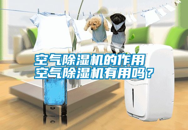 空氣除濕機的作用 空氣除濕機有用嗎？