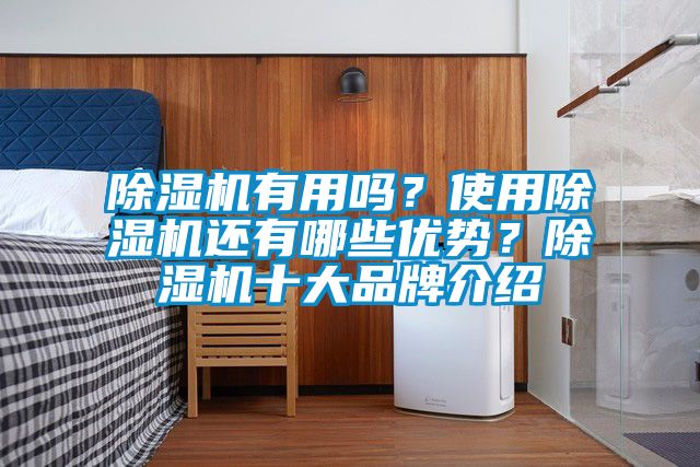 除濕機有用嗎？使用除濕機還有哪些優(yōu)勢？除濕機十大品牌介紹