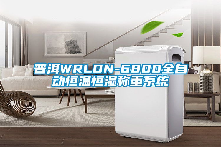 普洱WRLDN-6800全自動(dòng)恒溫恒濕稱(chēng)重系統