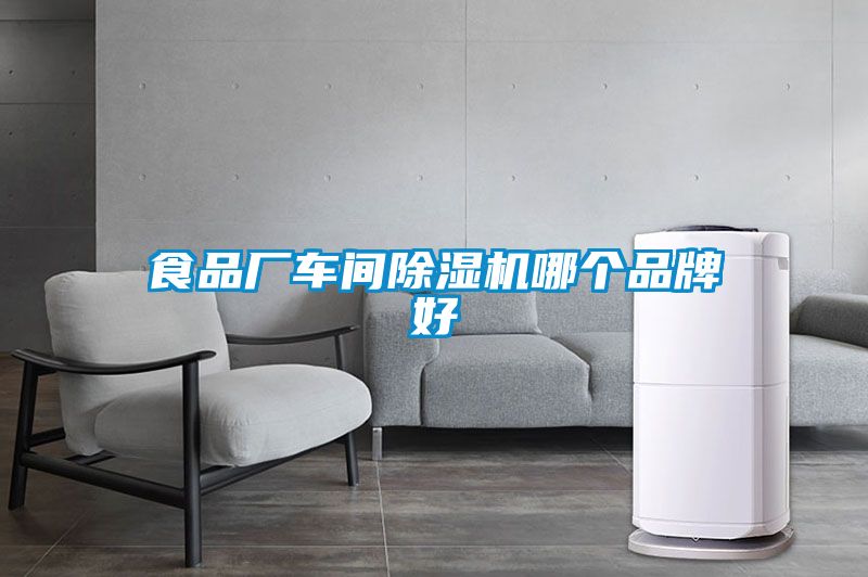 食品廠(chǎng)車(chē)間除濕機哪個(gè)品牌好