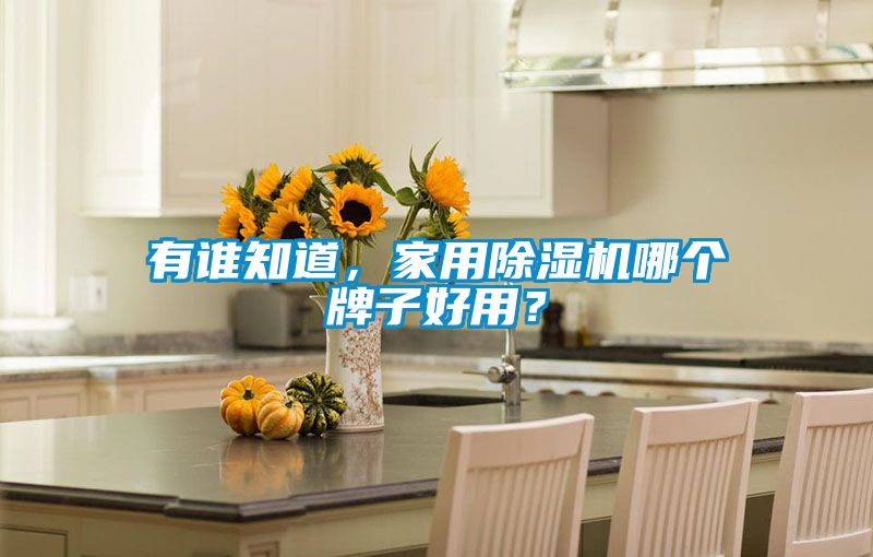有誰(shuí)知道，家用除濕機哪個(gè)牌子好用？