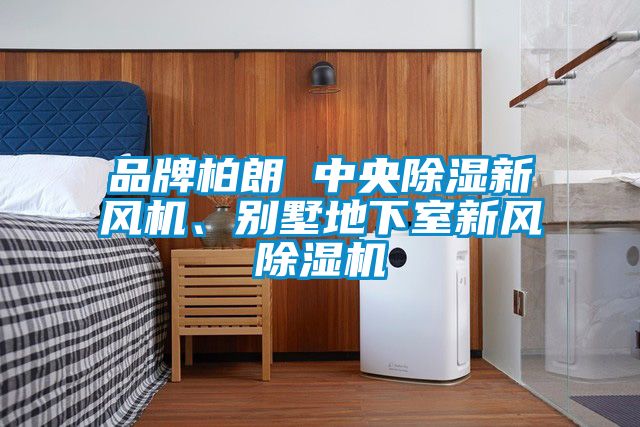 品牌柏朗 中央除濕新風(fēng)機、別墅地下室新風(fēng)除濕機