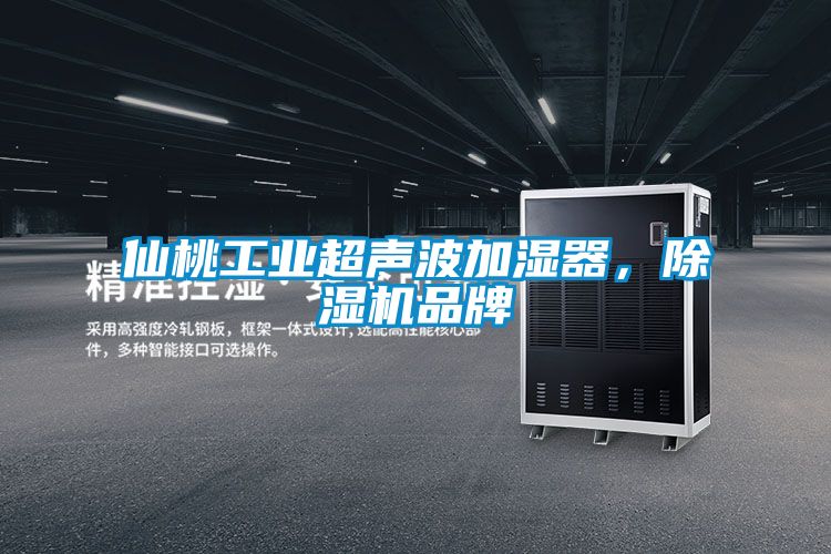 仙桃工業(yè)超聲波加濕器，除濕機品牌