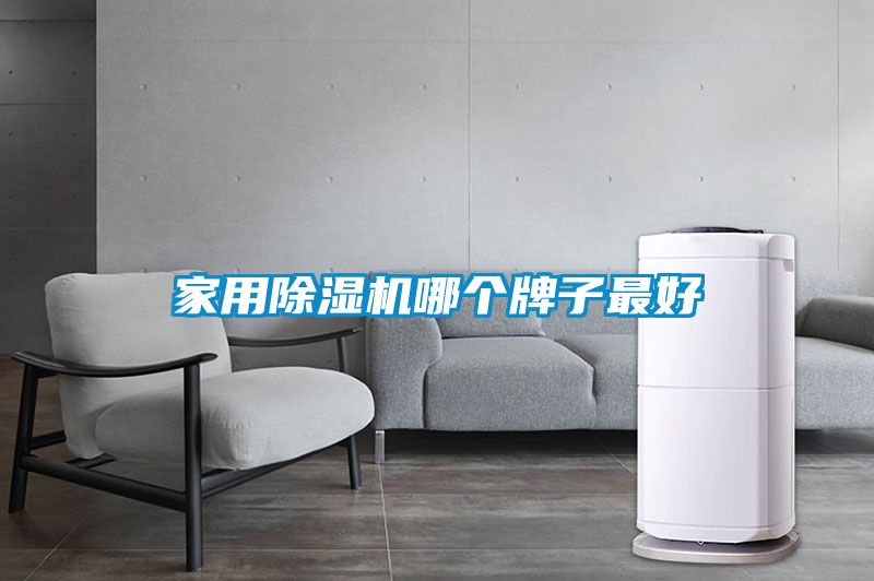 家用除濕機哪個(gè)牌子最好