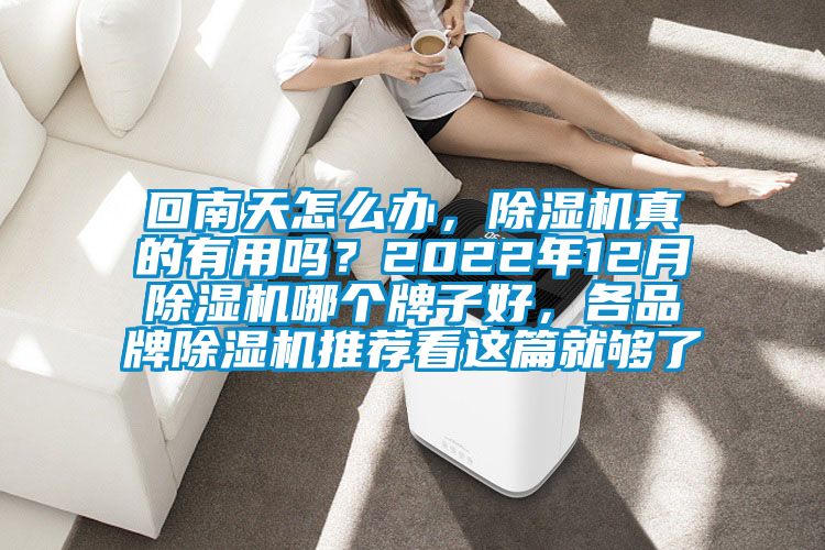 回南天怎么辦，除濕機真的有用嗎？2022年12月除濕機哪個(gè)牌子好，各品牌除濕機推薦看這篇就夠了