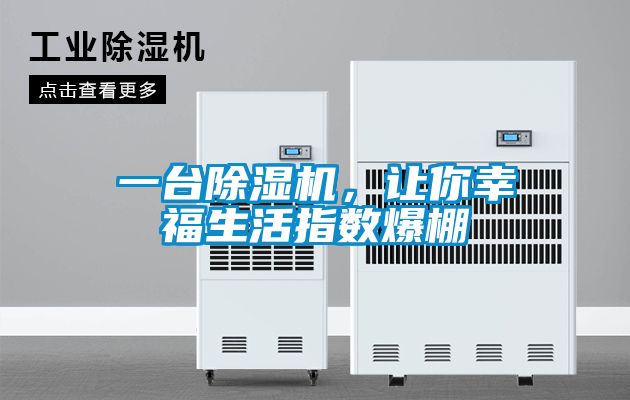 一臺除濕機，讓你幸福生活指數爆棚