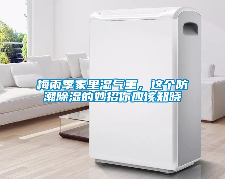 梅雨季家里濕氣重，這個(gè)防潮除濕的妙招你應該知曉